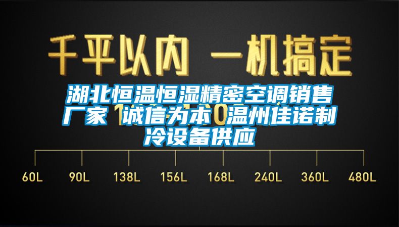 湖北恒溫恒濕精密空調銷售廠家 誠信為本 溫州佳諾制冷設備供應