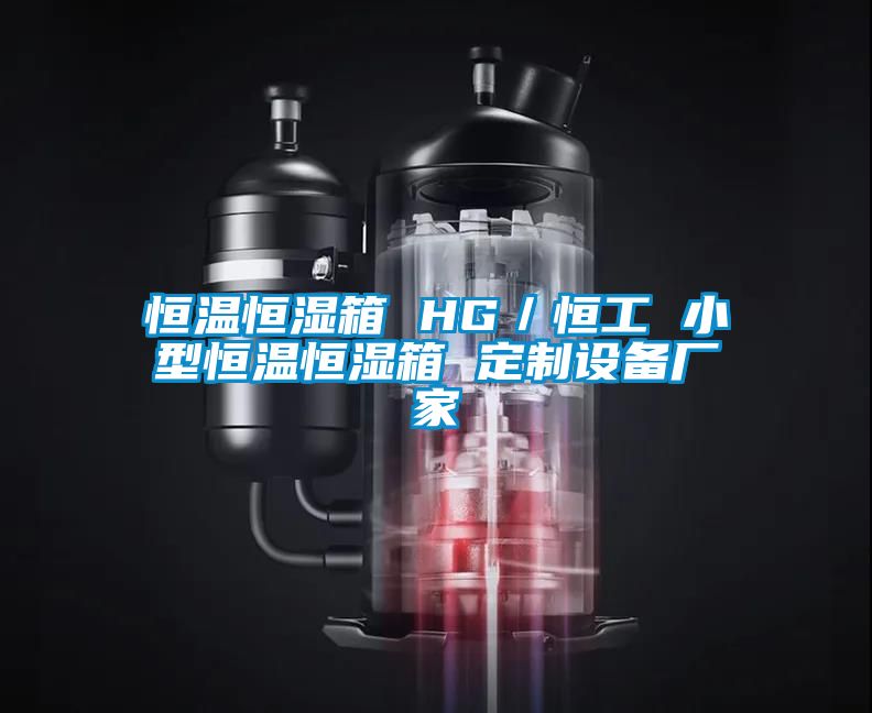 恒溫恒濕箱 HG／恒工 小型恒溫恒濕箱 定制設備廠家