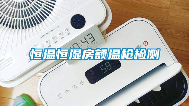 恒溫恒濕房額溫槍檢測