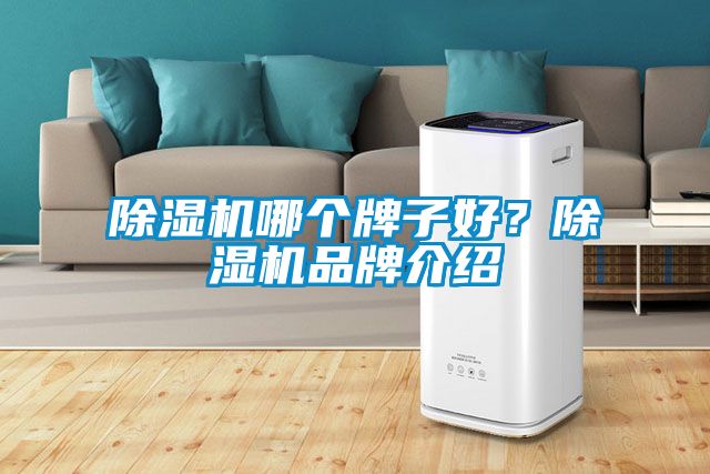 除濕機哪個牌子好？除濕機品牌介紹