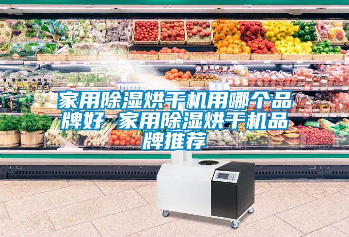 家用除濕烘干機用哪個品牌好 家用除濕烘干機品牌推薦