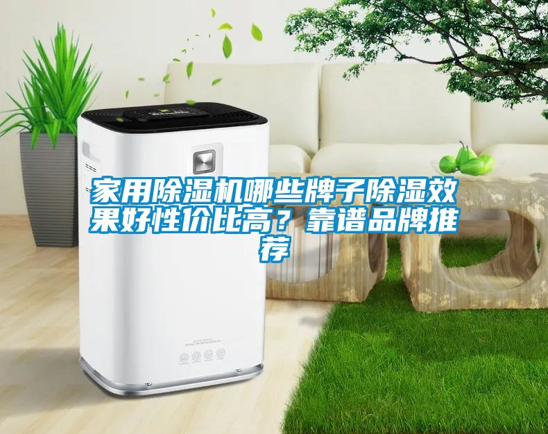 家用除濕機哪些牌子除濕效果好性價比高？靠譜品牌推薦