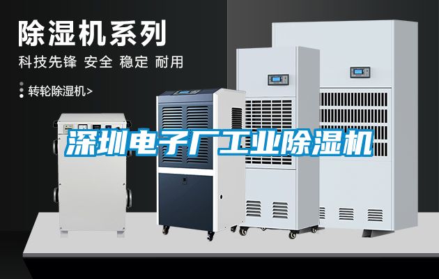 深圳電子廠工業除濕機