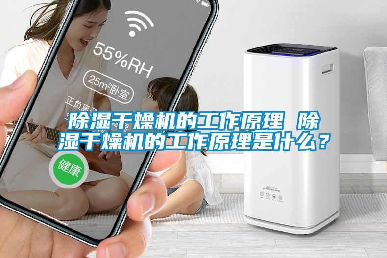 除濕干燥機的工作原理 除濕干燥機的工作原理是什么？