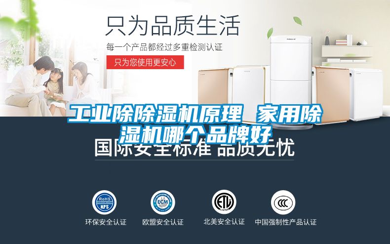 工業除除濕機原理 家用除濕機哪個品牌好