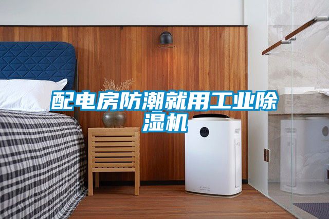 配電房防潮就用工業除濕機