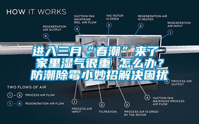 進入三月“春潮”來了 家里濕氣很重 怎么辦？防潮除霉小妙招解決困擾